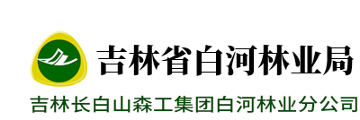 MK体育